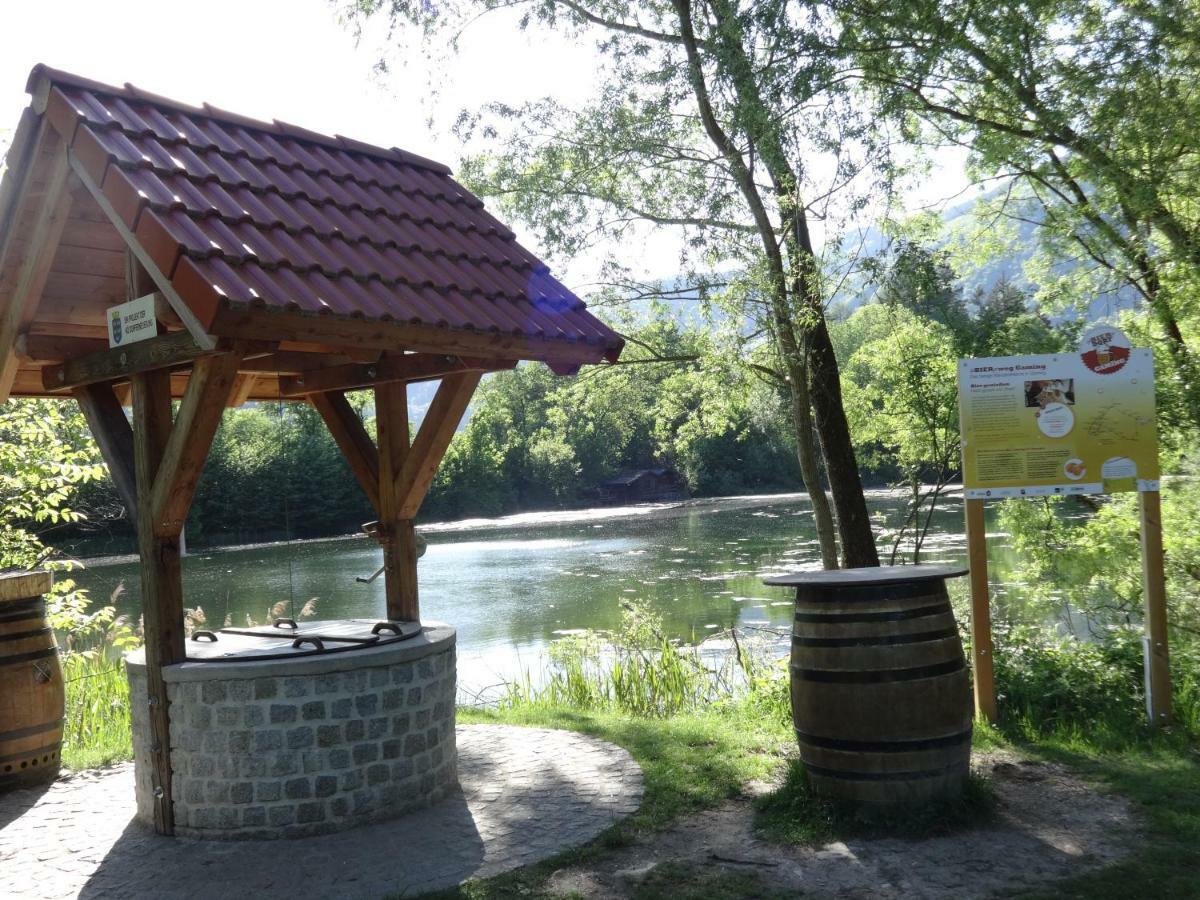 Fruehstueckspension Irmer Gaming Esterno foto