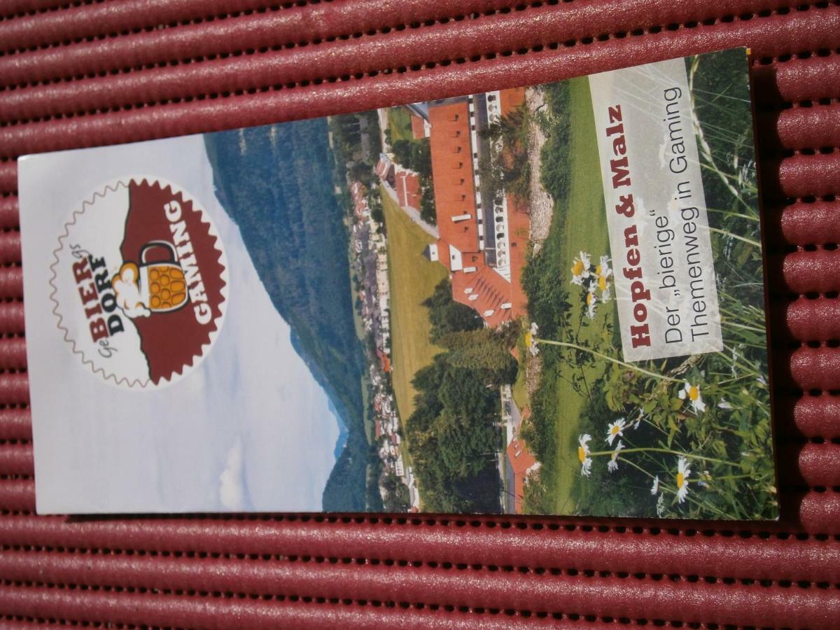 Fruehstueckspension Irmer Gaming Esterno foto